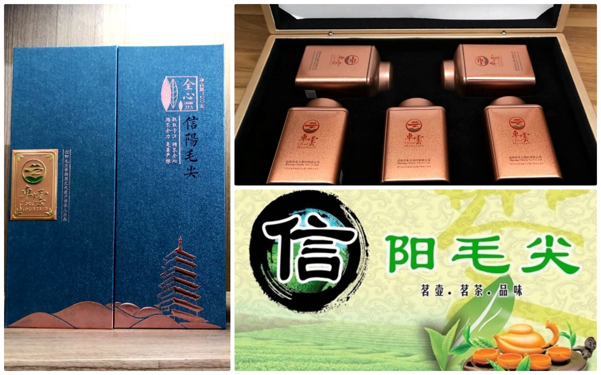 1577704409458933.jpg 信陽毛尖.jpg